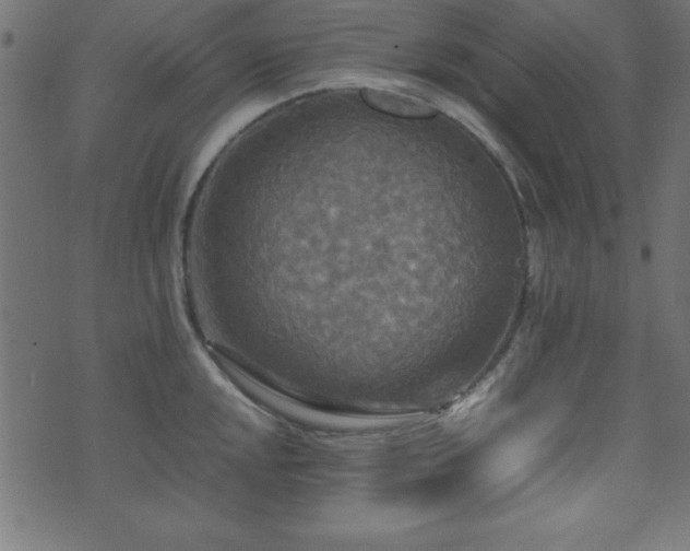 X0000071761048200606301125