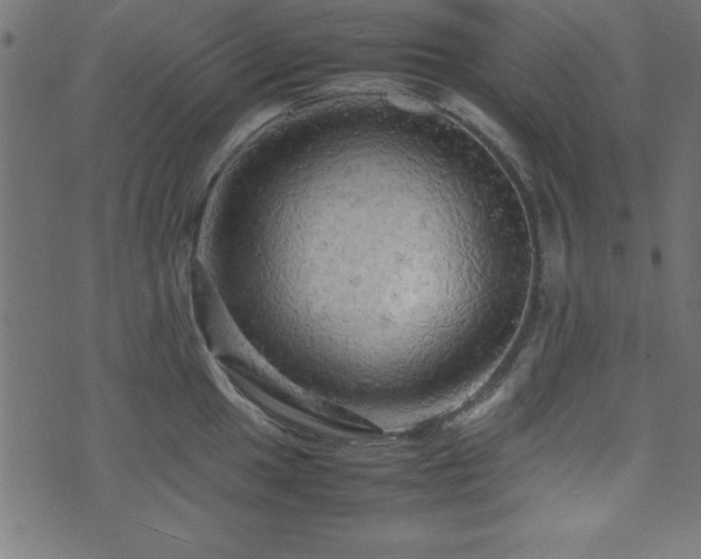 X0000071761049200606301125