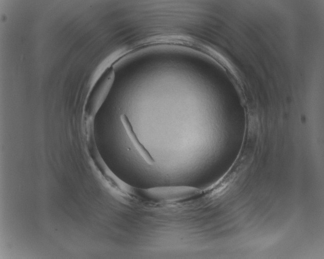 X0000071761050200606301125