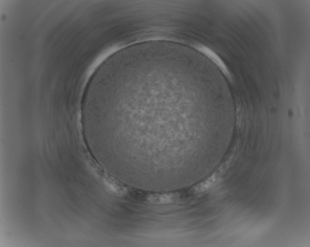 X0000071761051200606301125