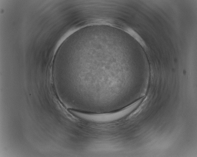 X0000071761052200606301125