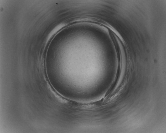 X0000071761053200606301125