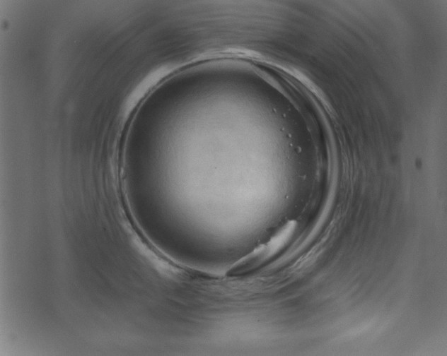 X0000071761054200606301125