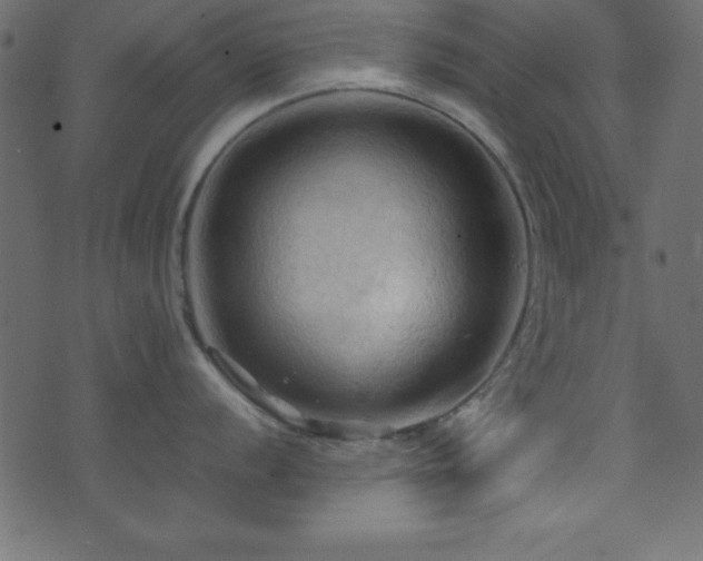 X0000071761056200606301125