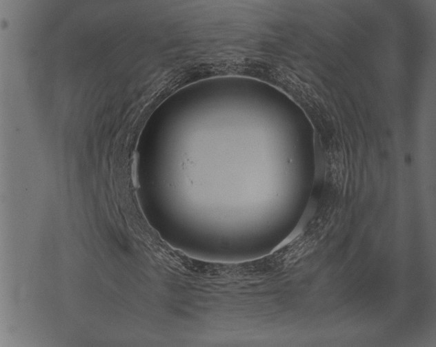 X0000071761057200606301125