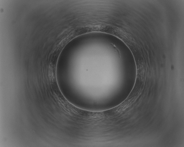 X0000071761058200606301125