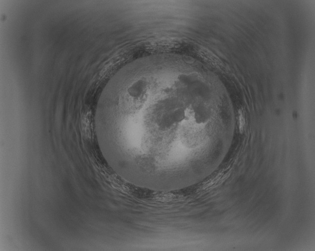 X0000071761059200606301125