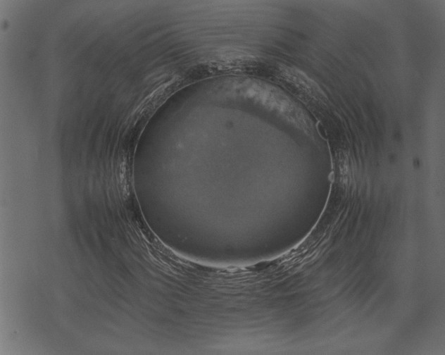 X0000071761060200606301125