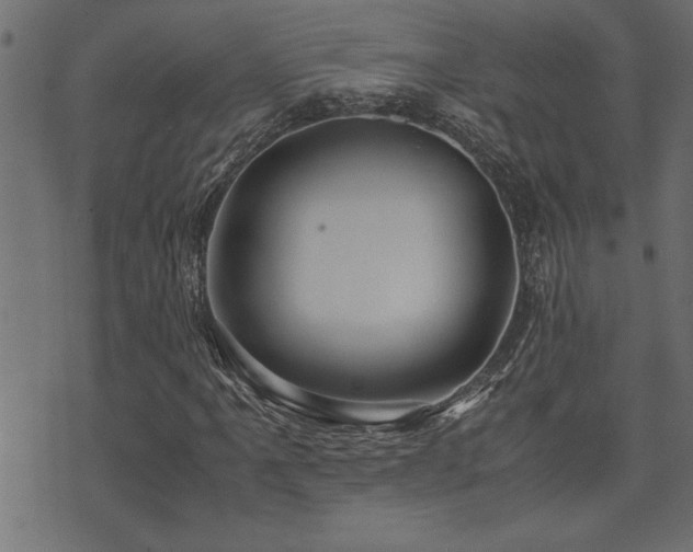 X0000071761061200606301125