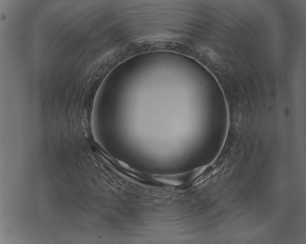 X0000071761062200606301125