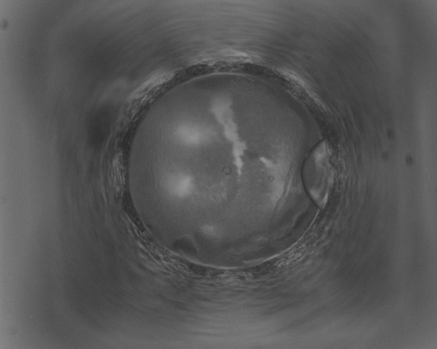 X0000071761063200606301125