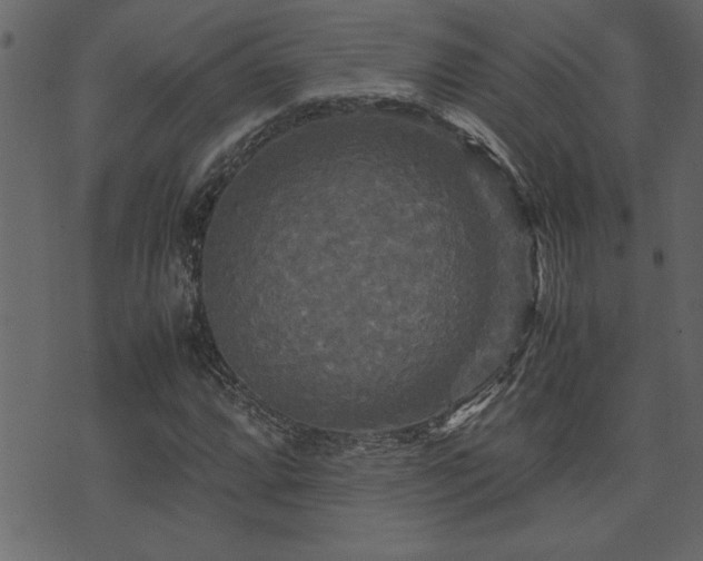 X0000071761064200606301125