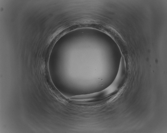 X0000071761065200606301125