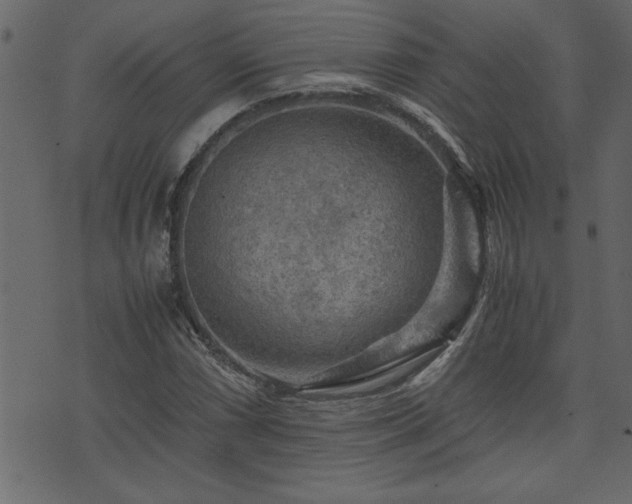 X0000071761066200606301125