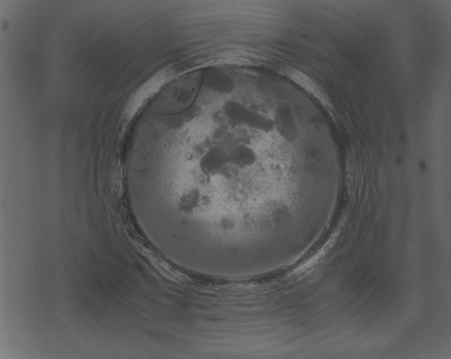 X0000071761067200606301125