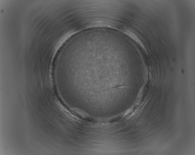 X0000071761068200606301125