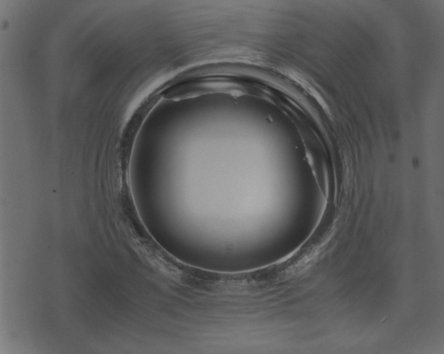 X0000071761069200606301124