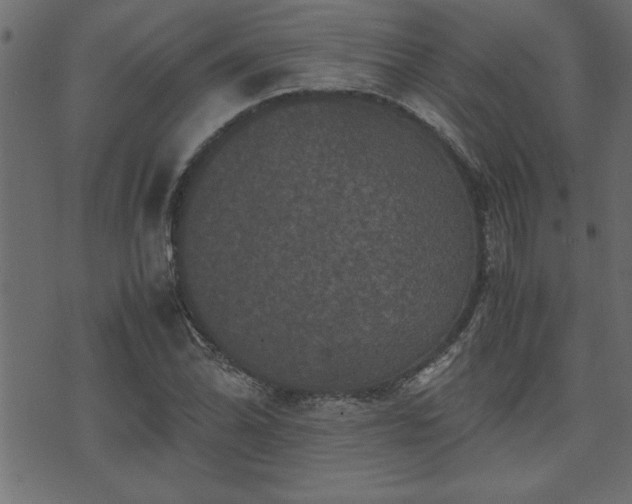 X0000071761070200606301124