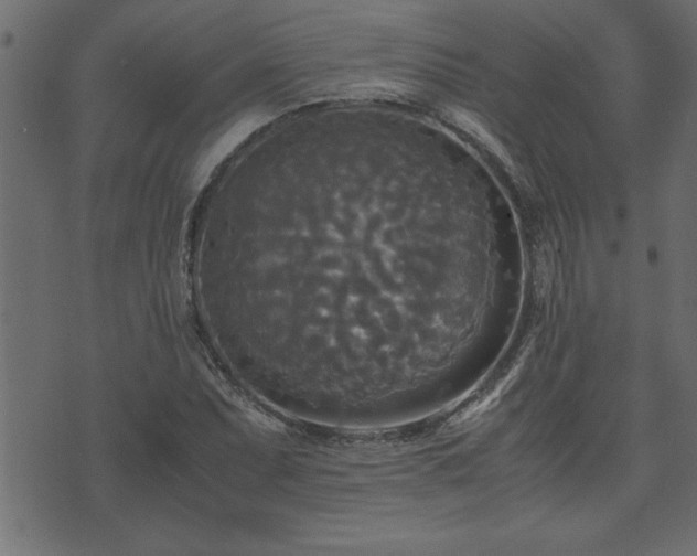 X0000071761071200606301124