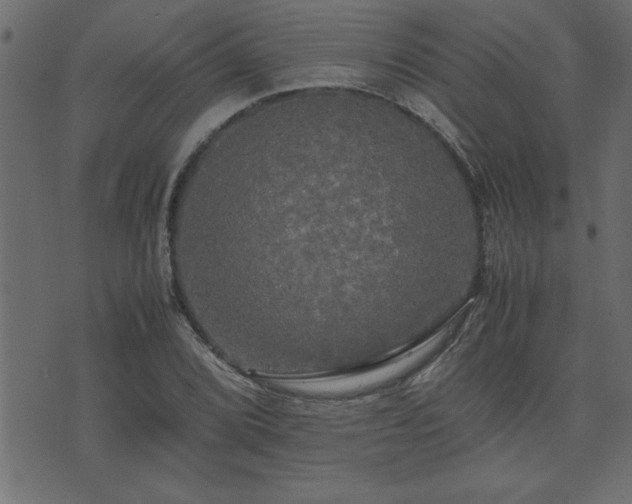 X0000071761072200606301124