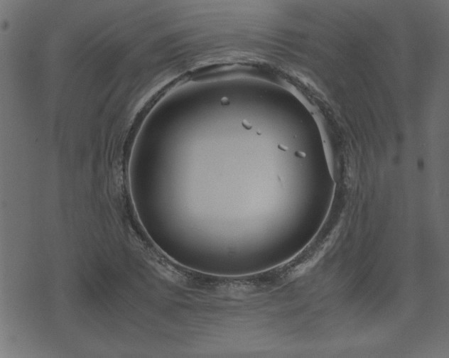 X0000071761073200606301124