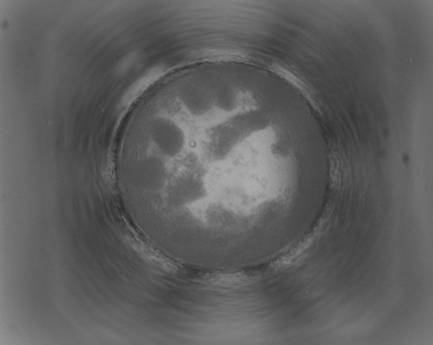 X0000071761074200606301124