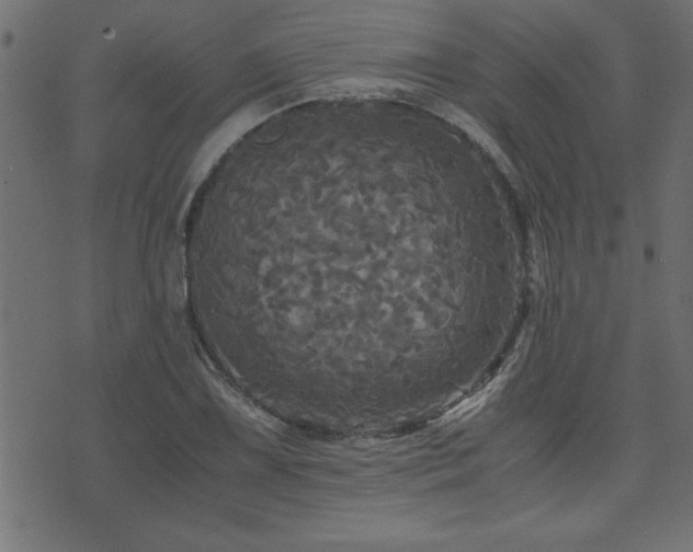 X0000071761075200606301124