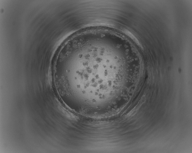 X0000071761076200606301124