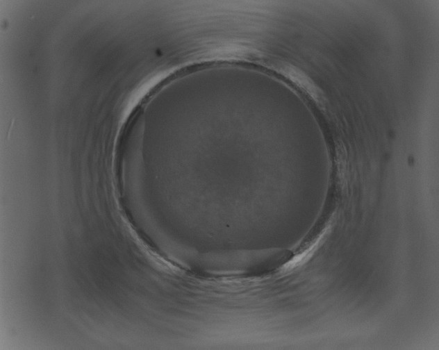 X0000071761077200606301124