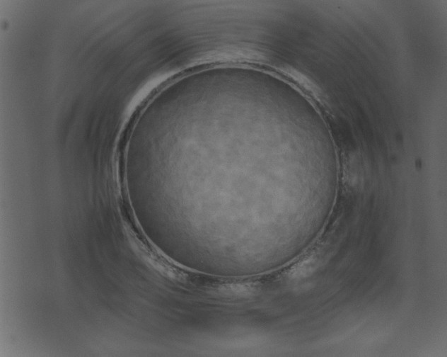 X0000071761078200606301124