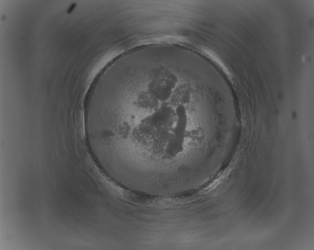 X0000071761079200606301124