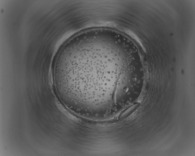 X0000071761080200606301124