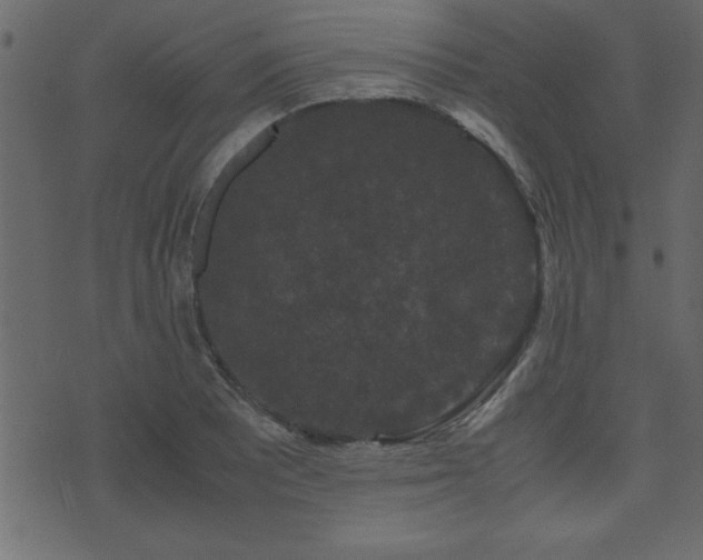 X0000071761081200606301124