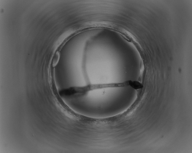 X0000071761082200606301124