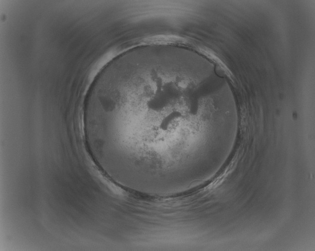 X0000071761083200606301124