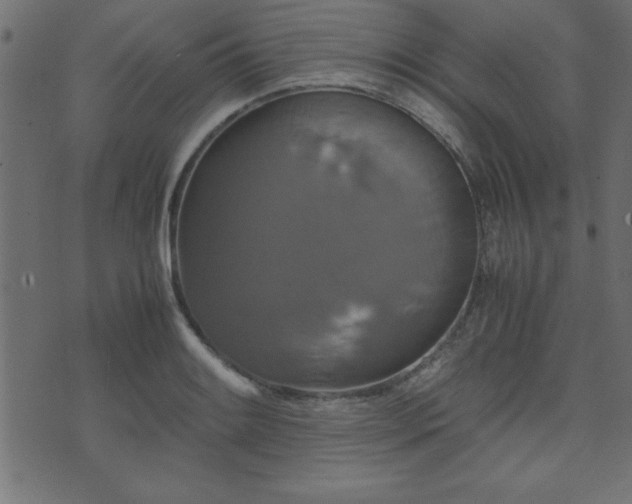 X0000071761084200606301124