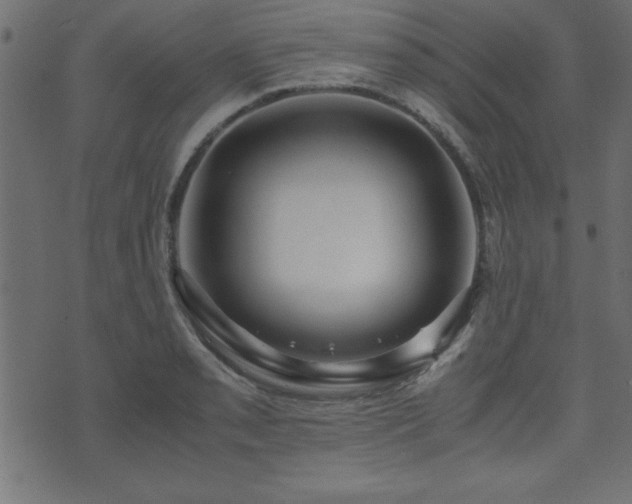 X0000071761085200606301124