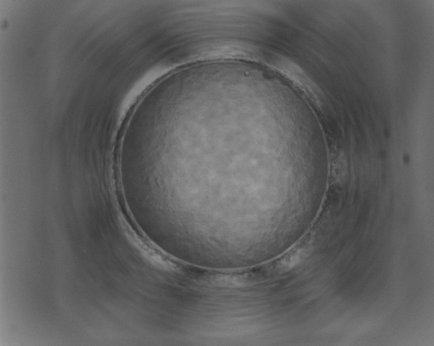 X0000071761086200606301124