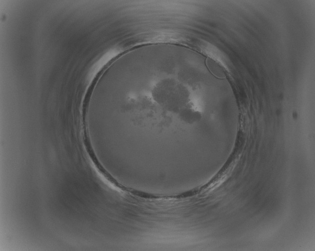 X0000071761087200606301124