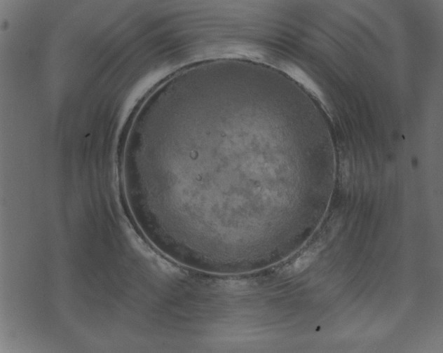 X0000071761088200606301124