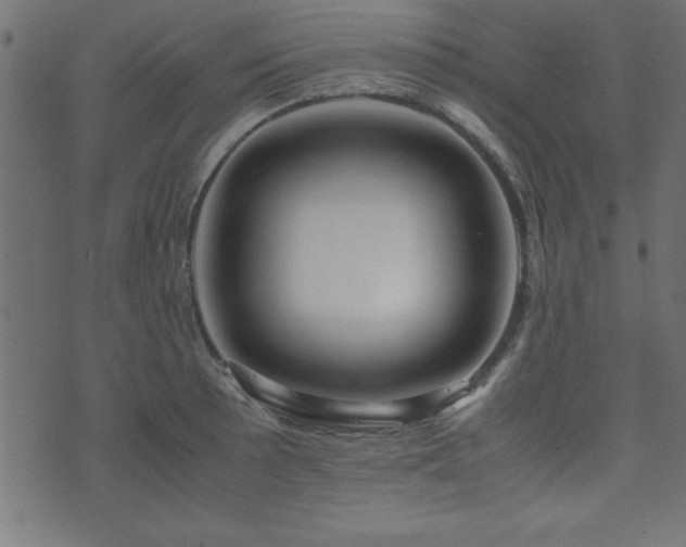 X0000071761089200606301124