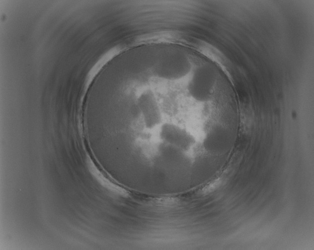 X0000071761090200606301124