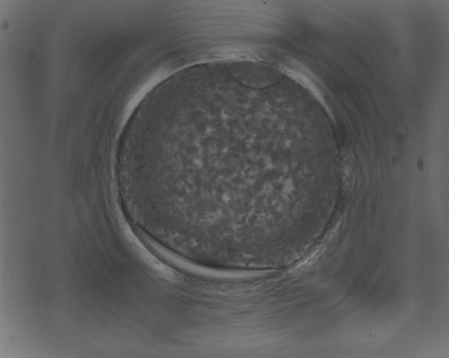 X0000071761091200606301124