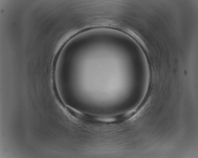 X0000071761093200606301124