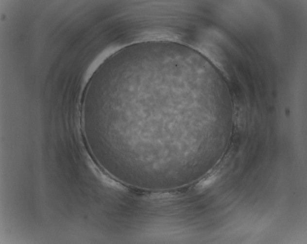 X0000071761094200606301124