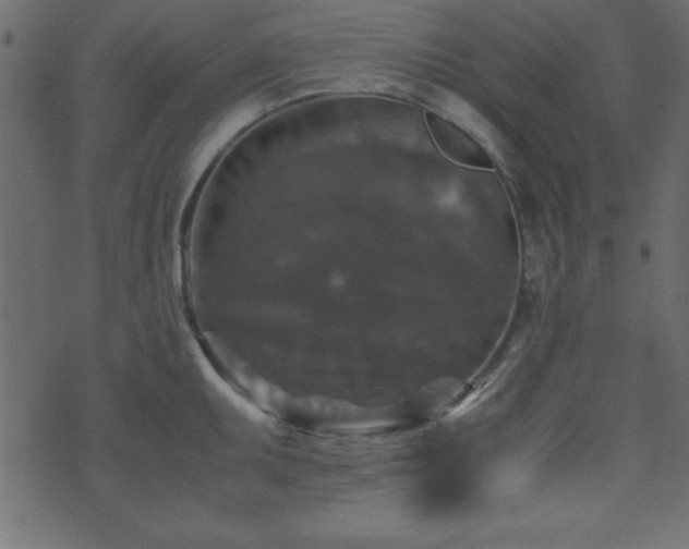 X0000071761095200606301124