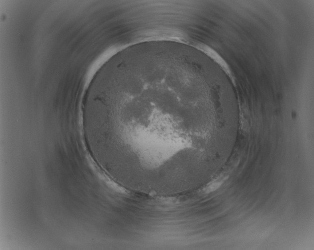 X0000071761096200606301124