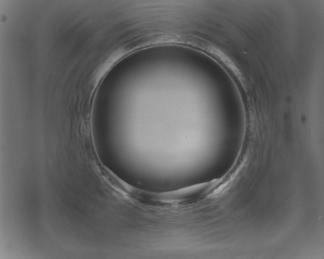 X0000071761097200606301124