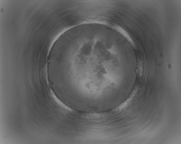 X0000071761100200606301124