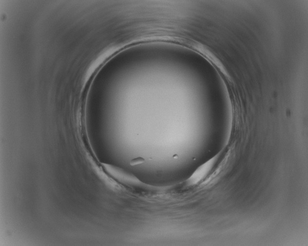 X0000071761101200606301124